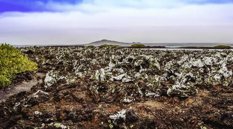 Isabella Island, Galapagos