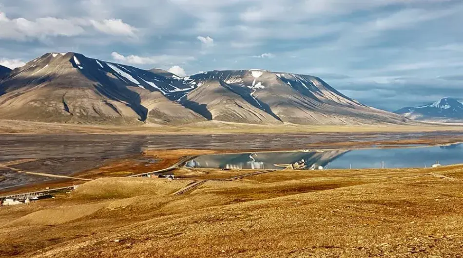 Spitsbergen tundra