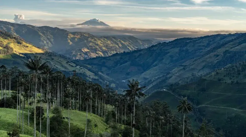 Cocora valley panorama with nevado ruiz