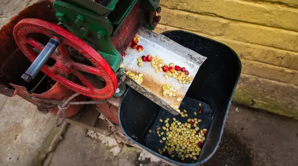 Coffee peeling machine
