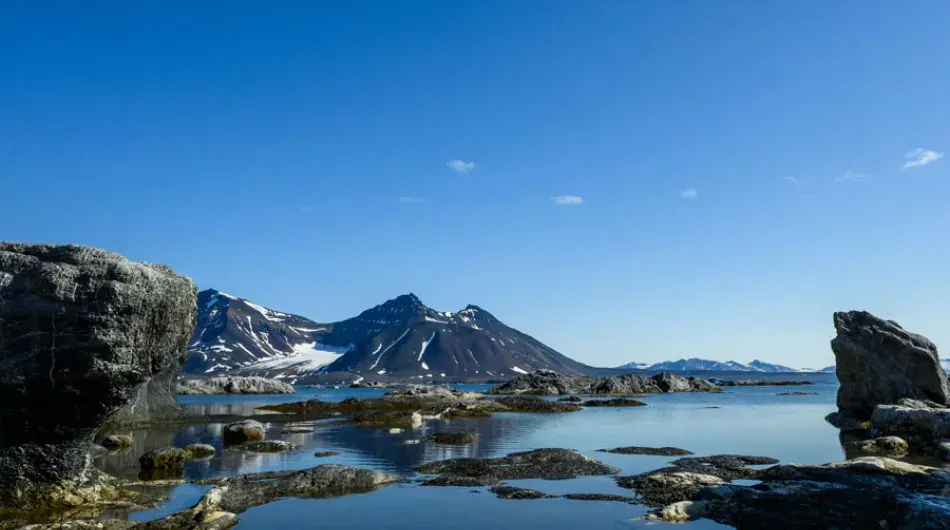 Gnalodeen bay in summer Svalbard