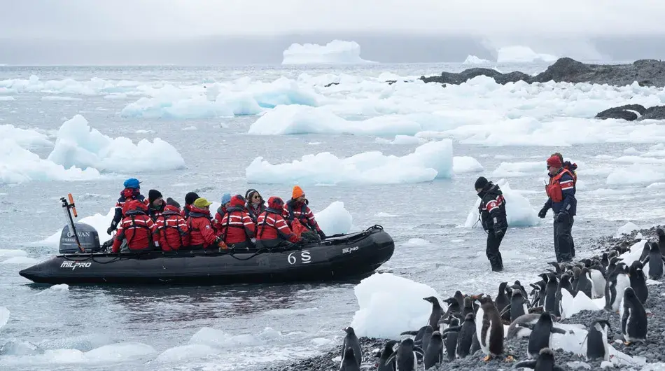 Antarctica landing with penguins on shore