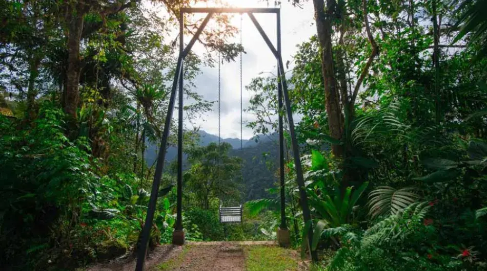Bellavista Lodge Swing