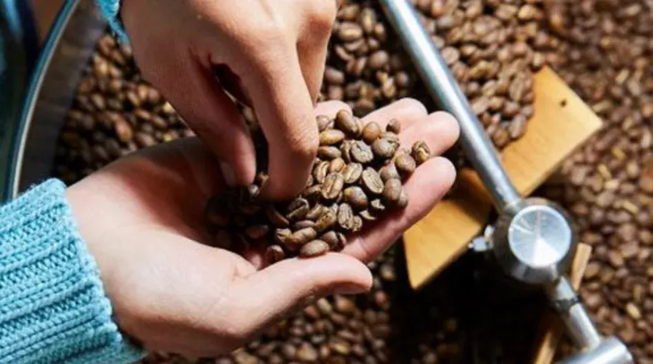 Coffee roasting tour, Peru