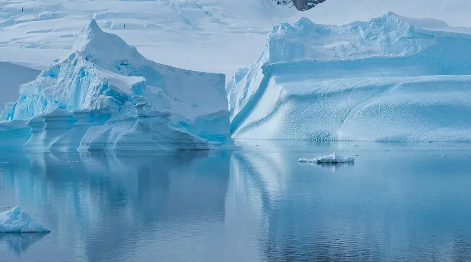 icebergs icebergs