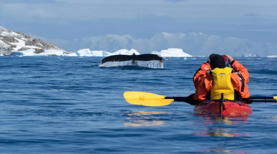 kayaking in Antarctica