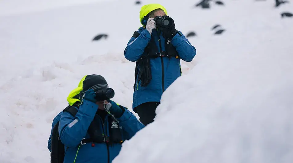 Photographers in Antarctica