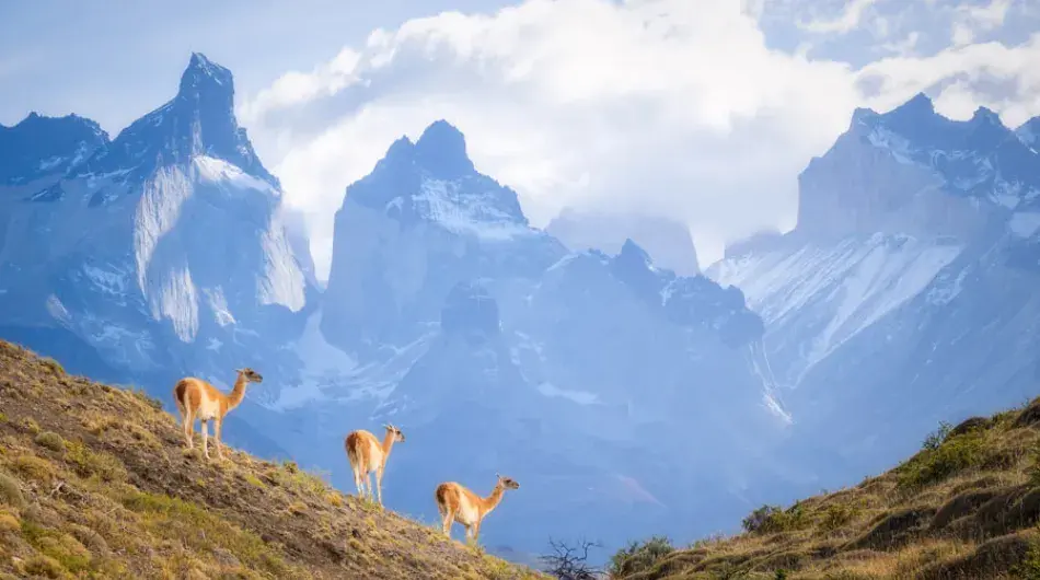 Torres Del Paine, Patagonia