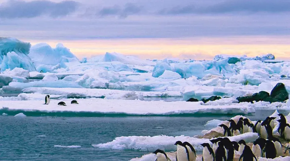 panoramic view of Antarctica 