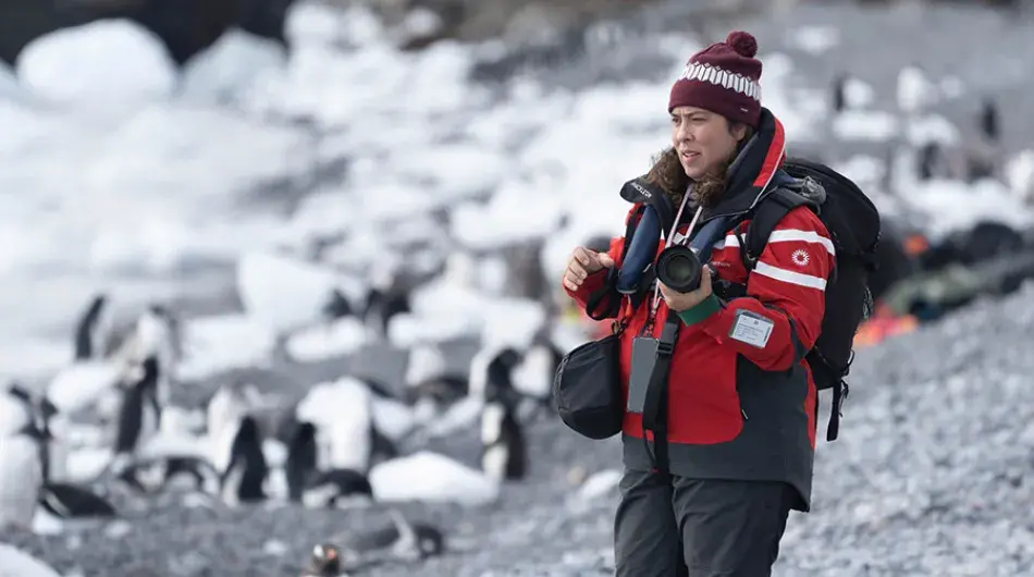 Antarctica, Brown Bluff with penguins expedition cruise