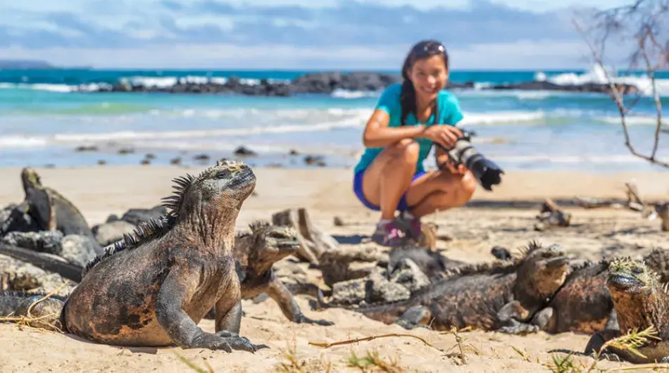 Iguana on the beach in the Galapagos Islands