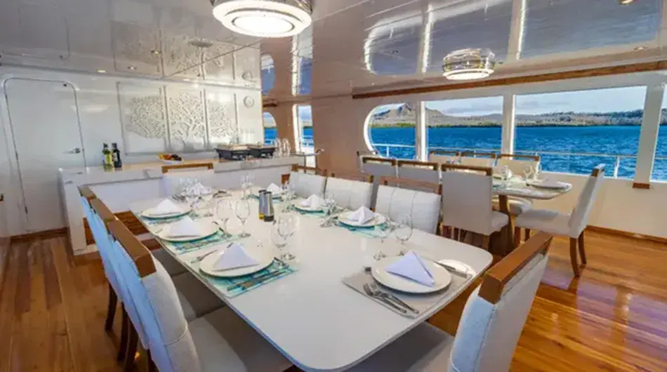 Grand Daphne Galapagos Cruise Yacht - Dining Area 