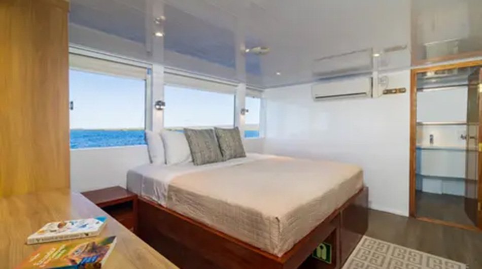 Grand Daphne Galapagos Cruise Yacht - Double Upper Deck Cabin 