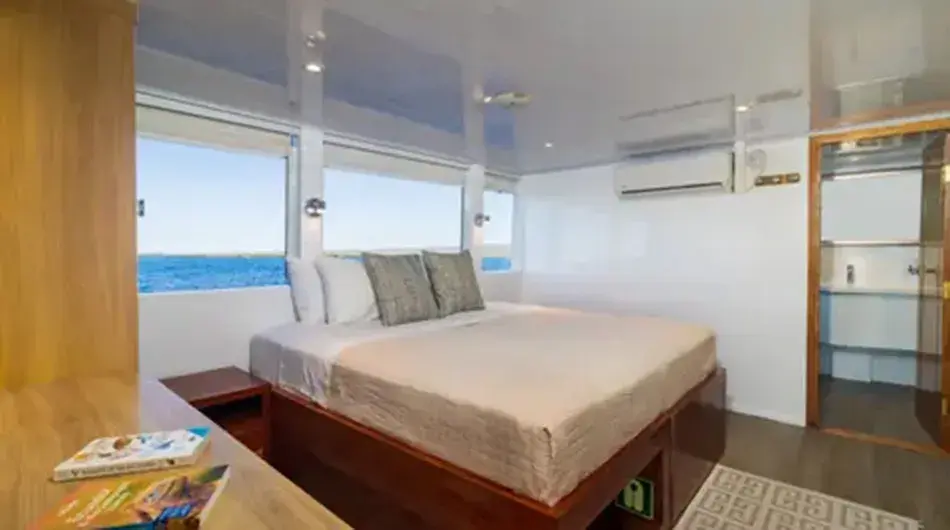 Grand Daphne Galapagos Cruise Yacht - Double Upper Deck Cabin 