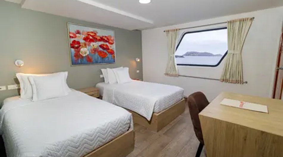 Grand Queen Beatriz Galapagos Cruise - Upper Back Cabin Twin 