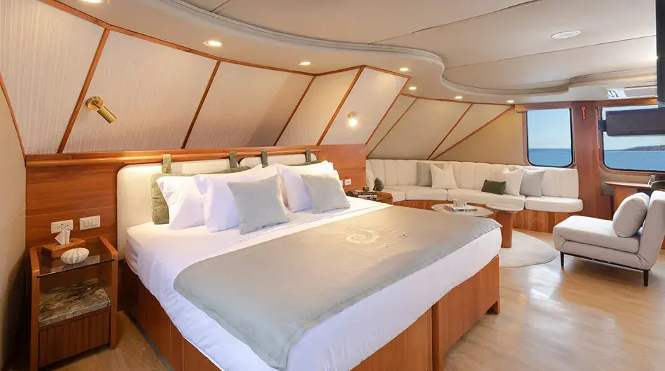 Integrity-owners-suite