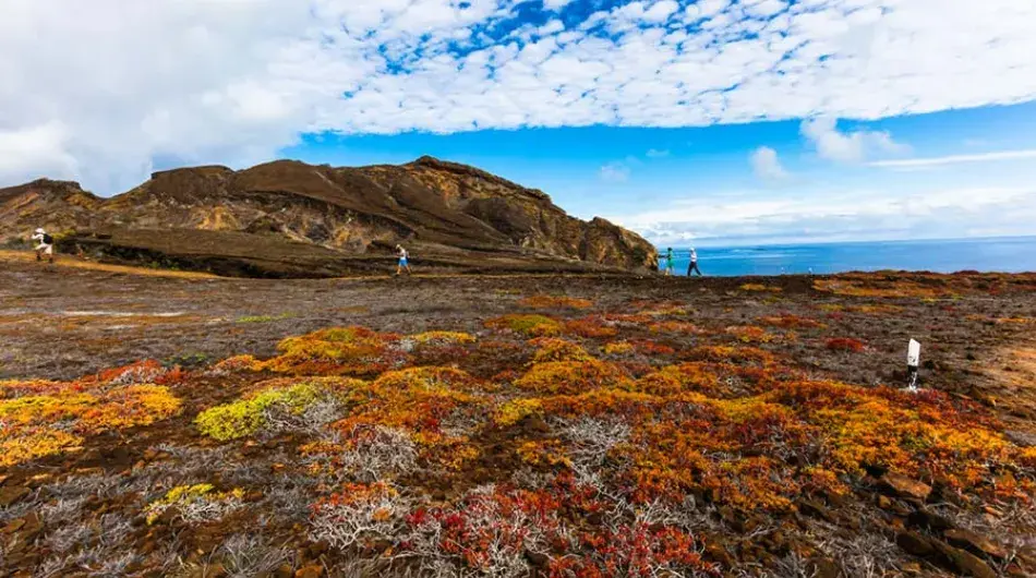 Galapagos Island Landscapes