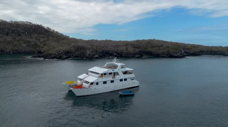 Aerial view of Seaman Journey ship exterior 