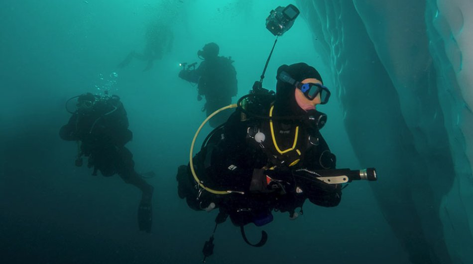 diving-in-antarctica-3