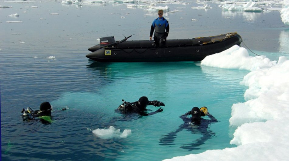 diving-in-antarctica-5