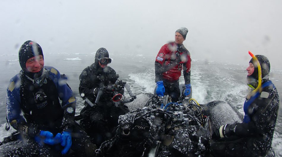 diving-in-antarctica-9