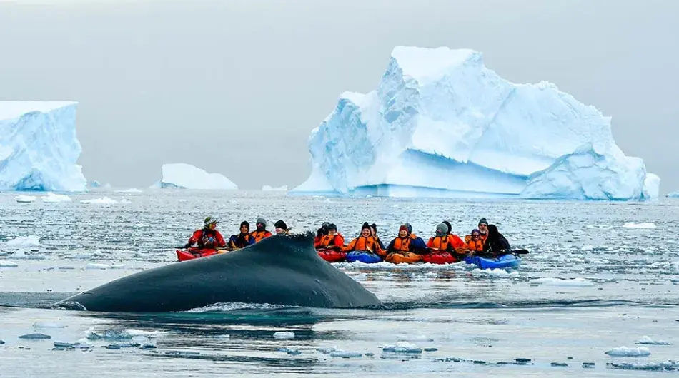 kayaking-in-antarctica-3