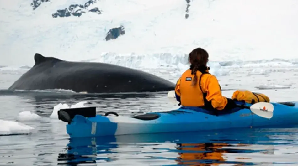 kayaking-in-antarctica