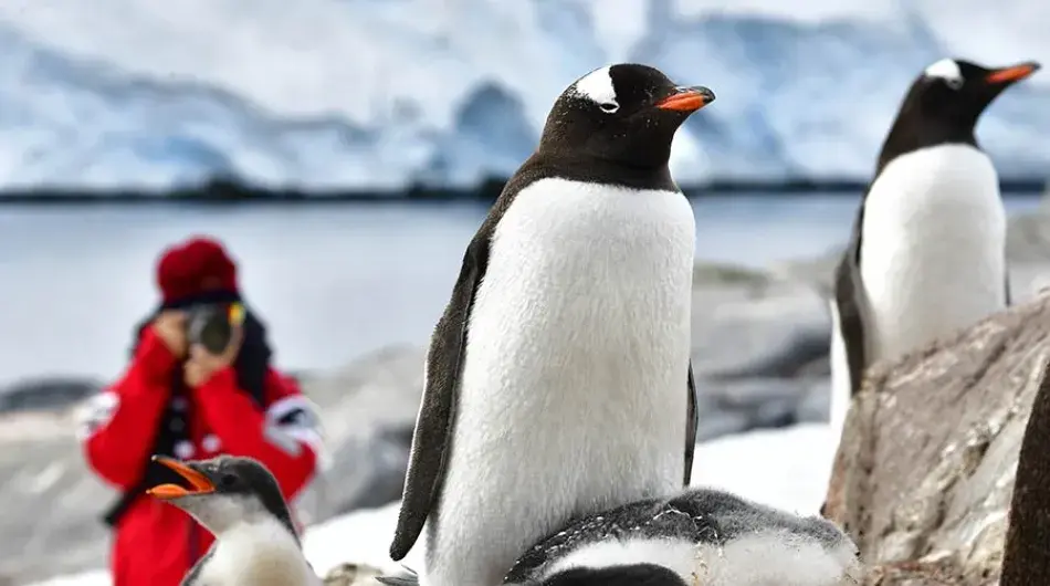 shore-excursions-antarctica2