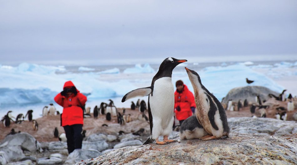 shore-excursions-antarctica6
