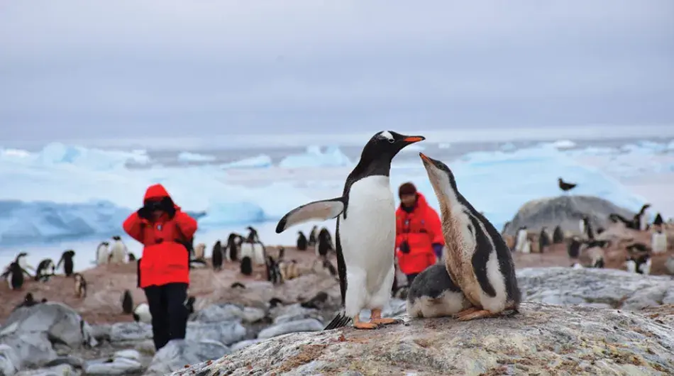 shore-excursions-antarctica6