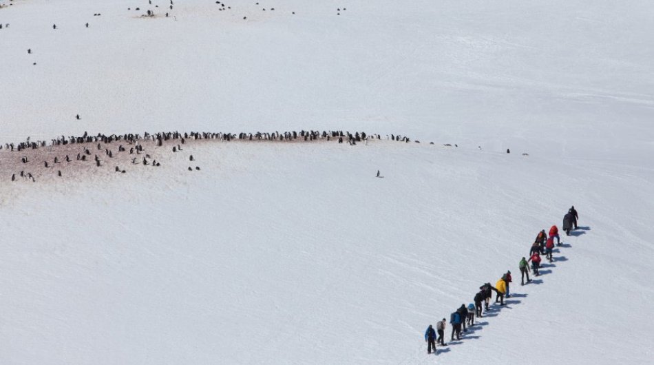 snowshoeing-in-antarctica-3