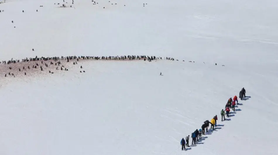 snowshoeing-in-antarctica-3