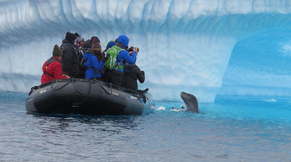 zodiac-cruising-antarctica1