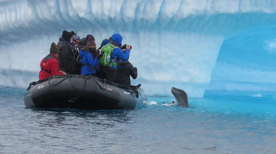 zodiac-cruising-antarctica1