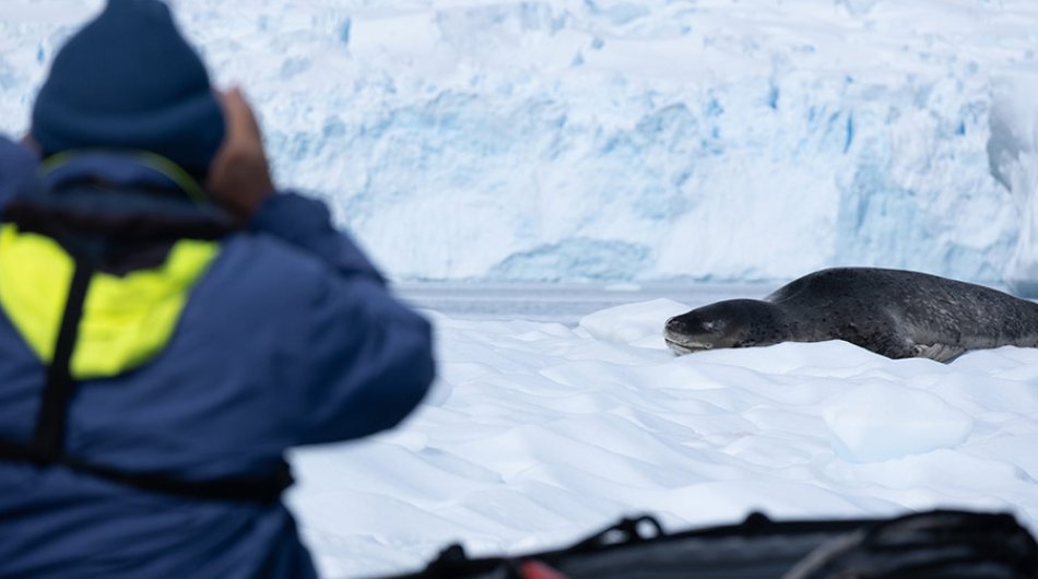 zodiac-cruising-antarctica4