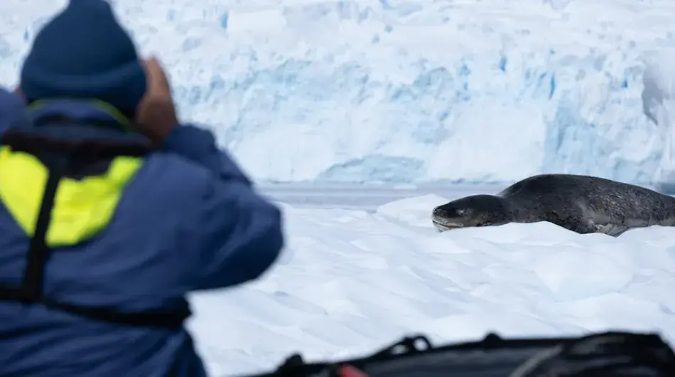 zodiac-cruising-antarctica4