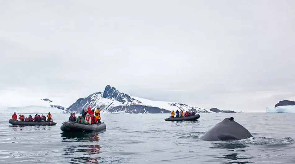 zodiac-cruising-antarctica7