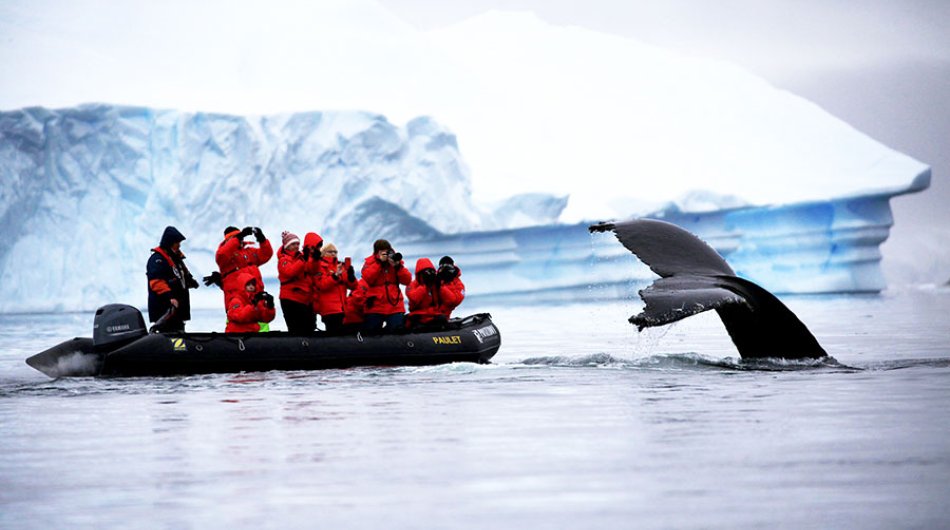 zodiac-cruising-antarctica8