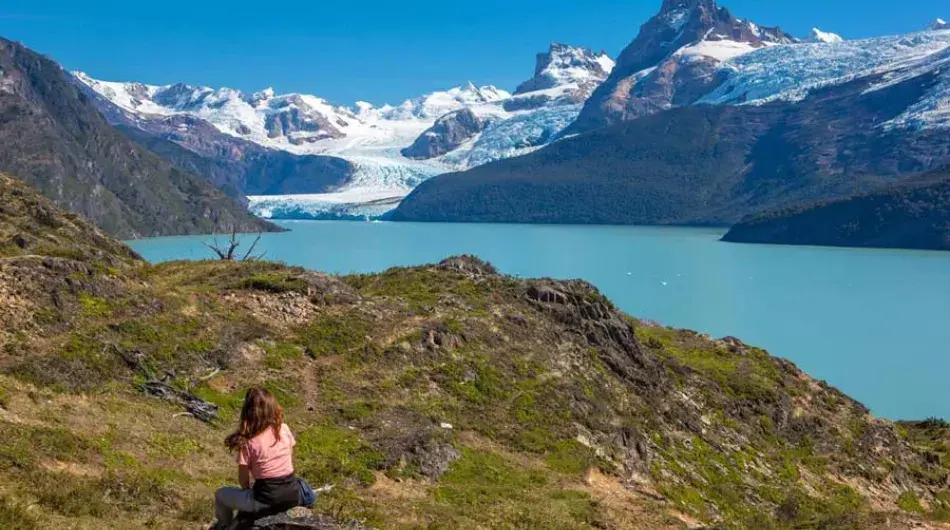 Panoramic view of Argentinian Patagonia forest