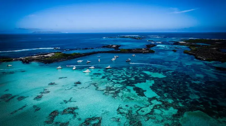 Galapagos Islands reef view
