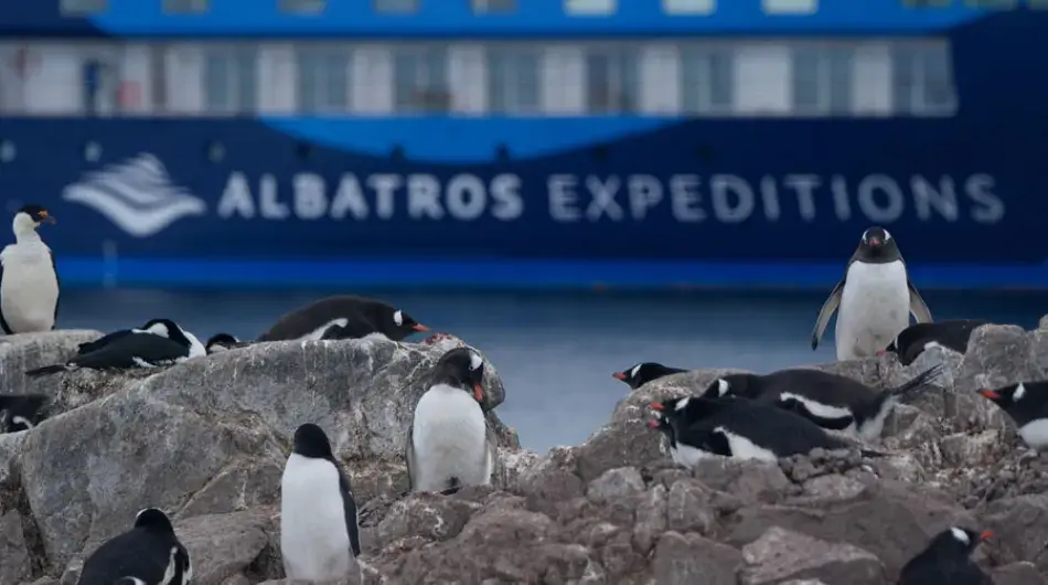 Ocean Albatros ship with penguins in the foreground