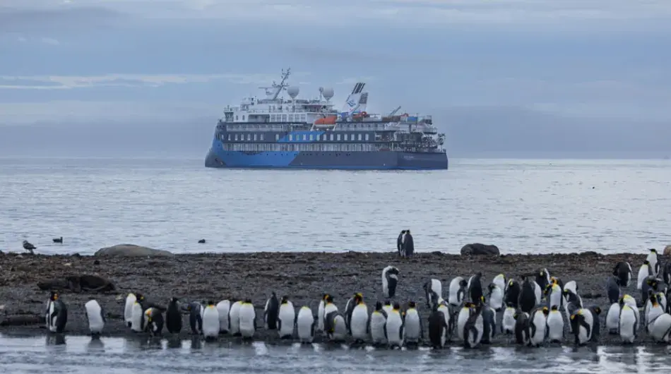 Ocean Victory in the background of St Andrews Bay in South Georgia