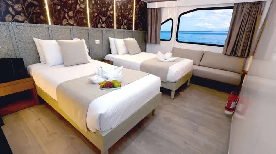 EcoGalaxy Catamaran twin cabin