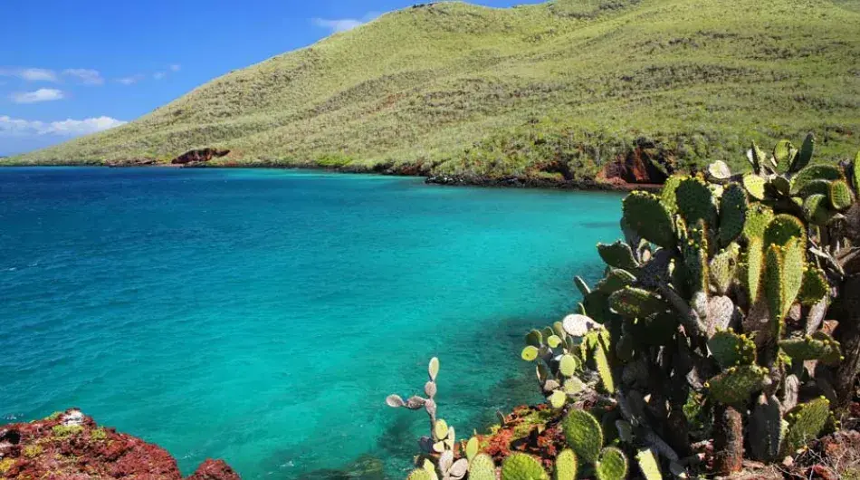Rabida Island, Galapagos