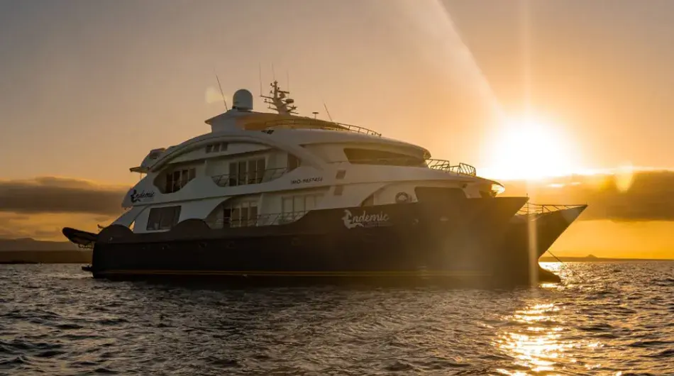 Exterior view of the Endemic yacht