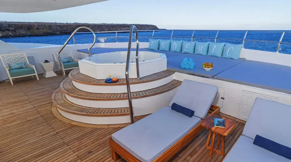 Endemic yacht exterior social area
