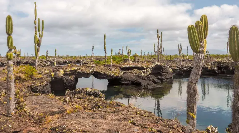 Panoramic view of Galapagos Islands