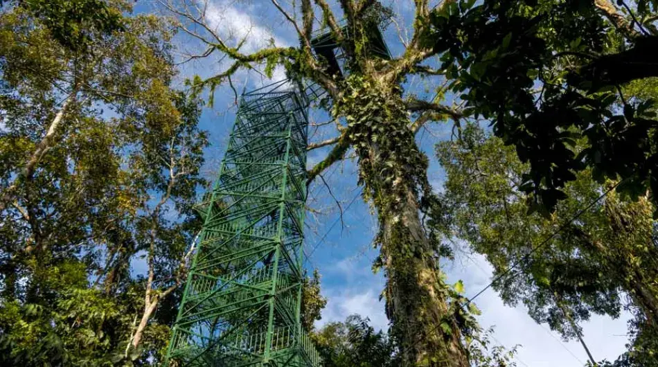 La Selva Lodge, Ecuadorian Amazon observation tower