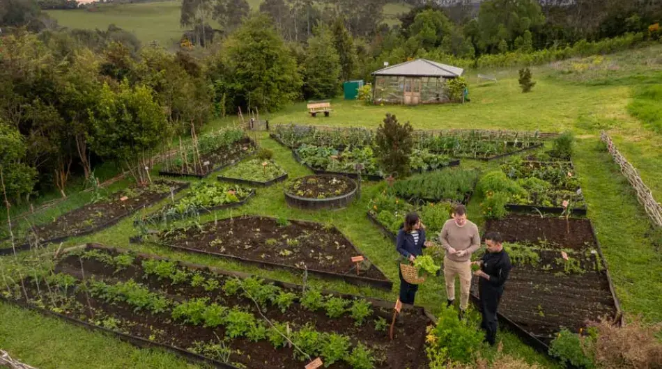 Refugia Chiloe Hotel Organic Garden