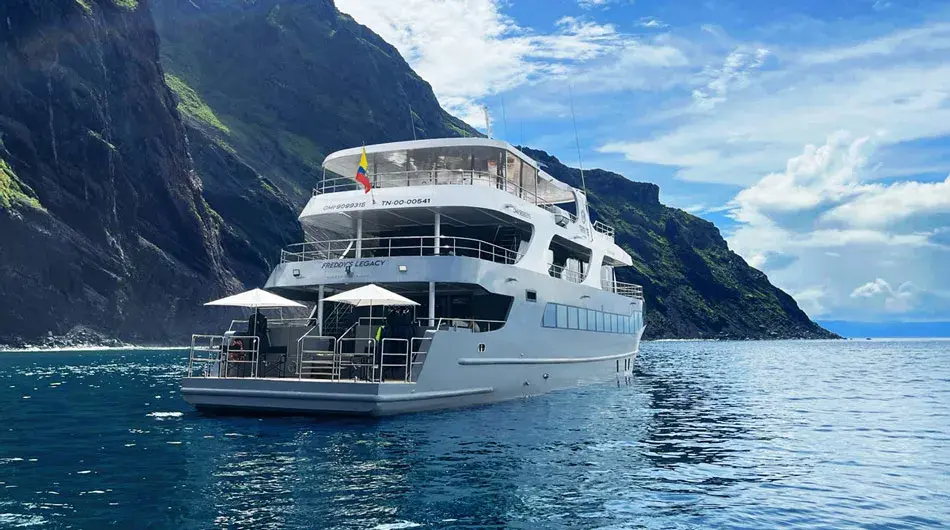 Tribute Yacht Rear Exterior View